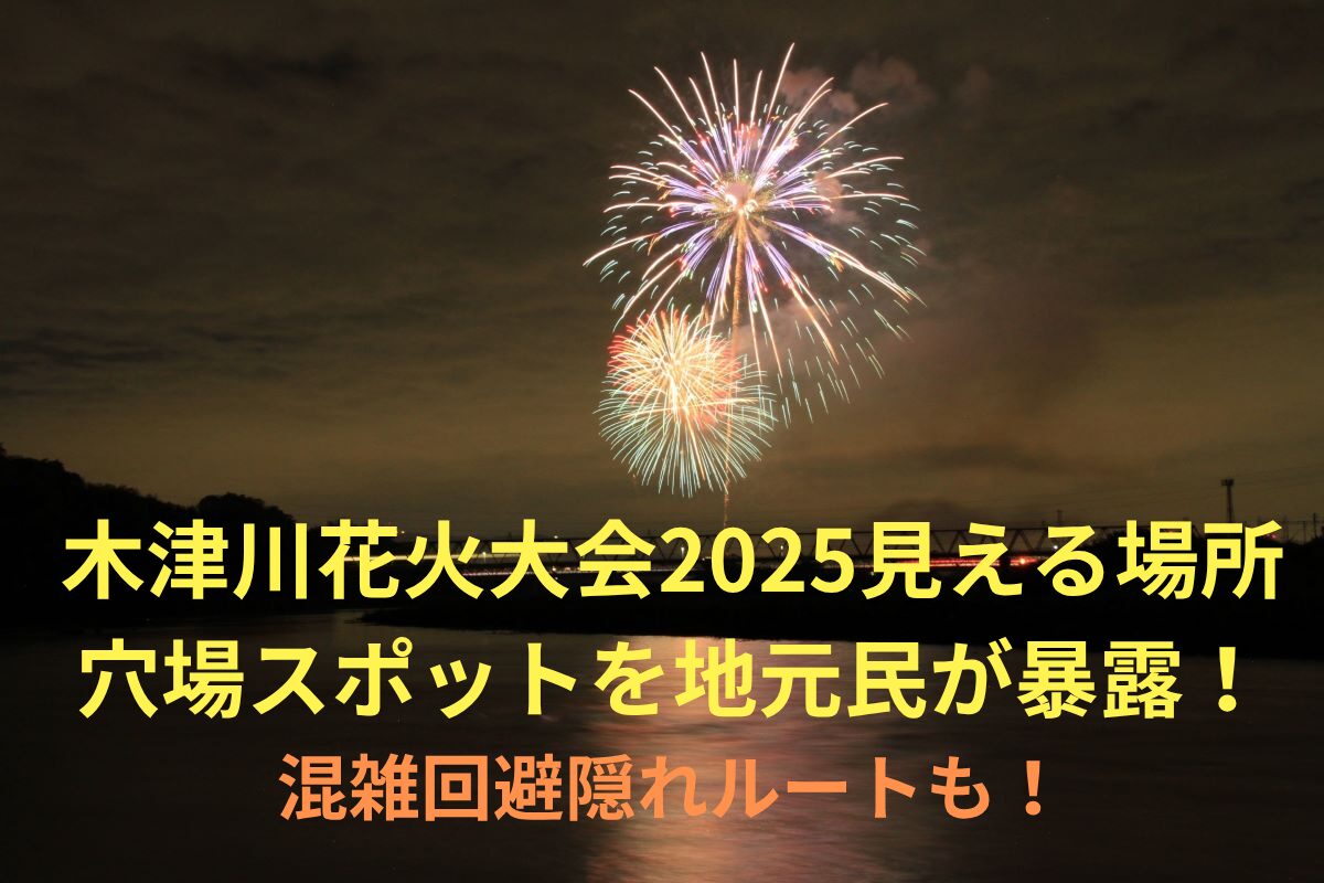 木津川花火大会2025見える場所穴場スポットを地元民が暴露！混雑回避隠れルートも！