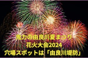 鬼力の由良川夏まつり花火大会2024穴場スポットは由良川堤防！