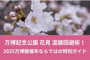 【2025年版】万博記念公園 花見 混雑回避術！万博開催年ならではの特別ガイド