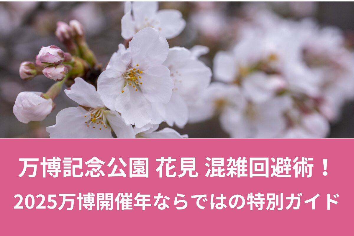 【2025年版】万博記念公園 花見 混雑回避術！万博開催年ならではの特別ガイド