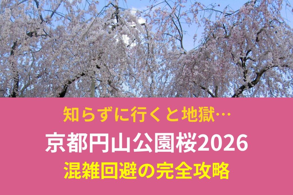 知らずに行くと地獄…京都円山公園の桜2026 混雑回避の完全攻略