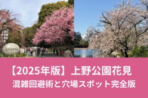 【2025年版】上野公園花見混雑回避術と穴場スポット完全版