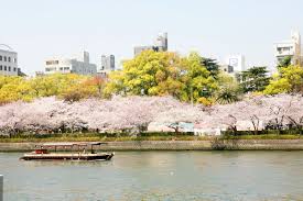毛馬桜之宮公園