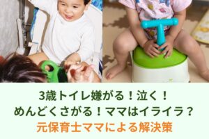3歳トイレ嫌がる！泣く！めんどくさがる！ママはイライラ？｜元保育士ママによる解決策